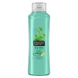 ALBERTO BALSAM TEA TREE TINGLE SHAMPOO 350 ML Online now