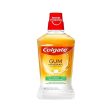 COLGATE GUM INVIGORATE DETOX WITH OAK BARK EXTRACT MOUTHWASH 500 ML on Sale