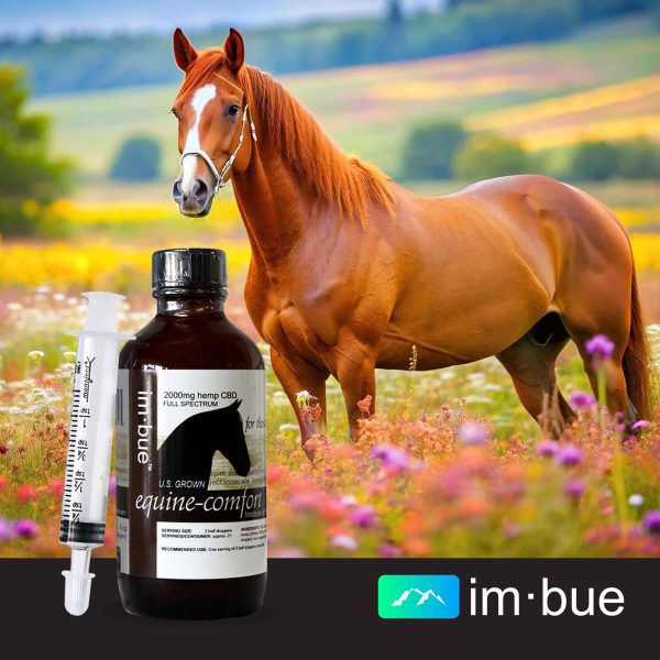 Imbue 2000mg CBD Tincture of Full Spectrum Hemp Extract for Horses Discount