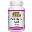 Natural Factors D Pantothenic Acid 250mg 90 Caps For Cheap