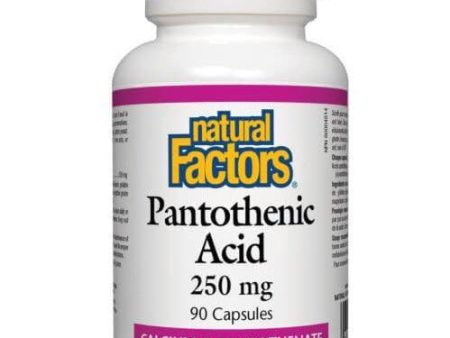 Natural Factors D Pantothenic Acid 250mg 90 Caps For Cheap