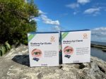 NNP Bilberry Eye Vitamin Online