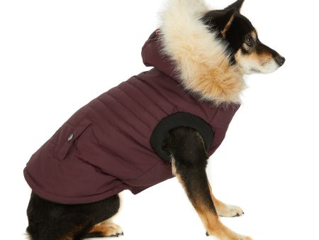 Toby manteau pour chiens For Discount