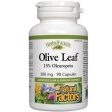 Natural Factors Olive Leaf 500mg 90 Capsules Hot on Sale