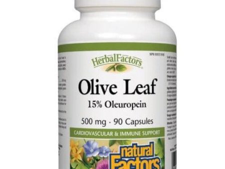 Natural Factors Olive Leaf 500mg 90 Capsules Hot on Sale