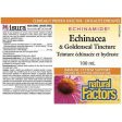 Natural Factors Echinacea & Goldenseal Tincture 100ml Hot on Sale