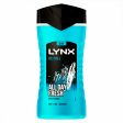 LYNX ICE CHILL 3 IN 1 ALL DAY FRESH SHOWER GEL 225 ML Online now