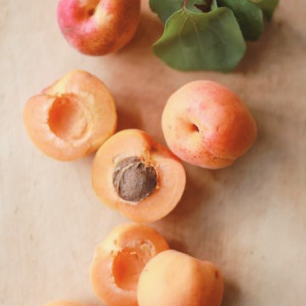 Apricot Pulp Supply