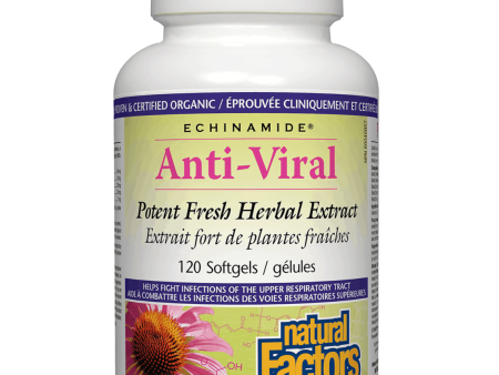 Natural Factors Echinamide Anti-Viral Potent Fresh Herbal Extract 120 Softgels Cheap