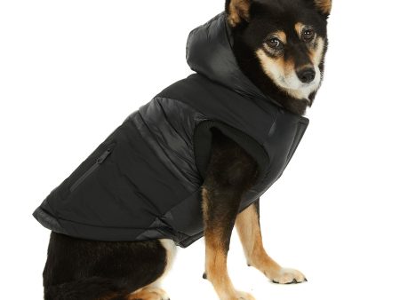 Mattie manteau pour chiens For Cheap