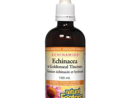 Natural Factors Echinacea & Goldenseal Tincture 100ml Hot on Sale