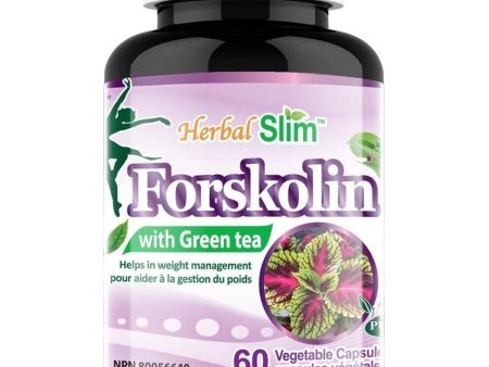 Herbal Slim Forskolin with Green Tea, 60 Veggie Caps Online