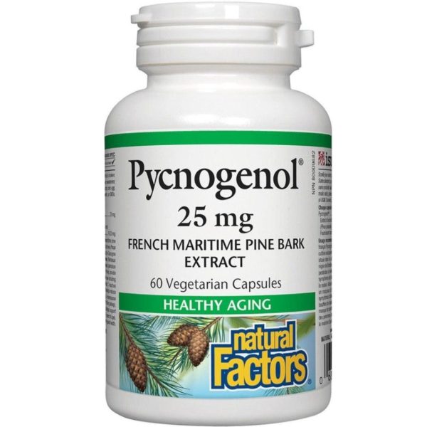 Natural Factors Pycnogenol 25mg 60 Veggie Caps Online Hot Sale