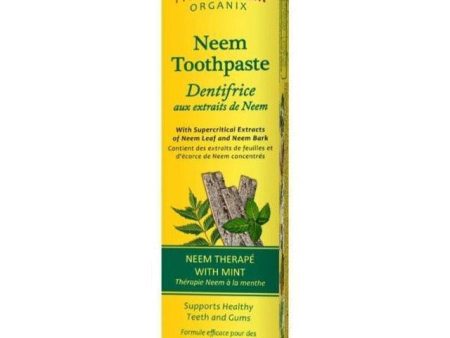 Theraneem Neem Toothpaste Mint 120g Discount