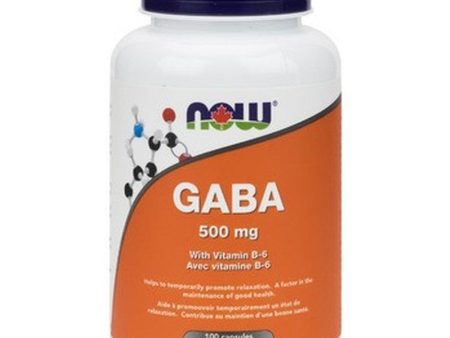 NOW GABA With B6 For Mood Support 100 Caps Online now