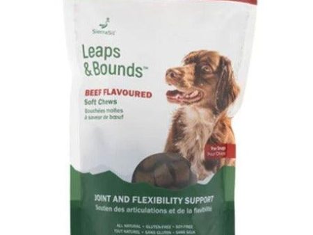 Sierrasil Leaps & Bounds Soft Chews Beef flavoured 300g Online