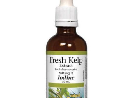 Natural Factors Fresh Kelp Extract 50mL Discount