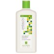 Andalou Naturals Silky Smooth Shampoo Exotic Marula Oil 340mL Sale